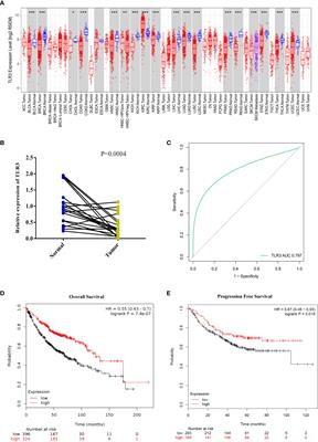 Methylation Regulation of TLR3 on Immune Parameters in Lung Adenocarcinoma